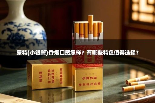 蒙特(小银管)香烟口感怎样？有哪些特色值得选择？